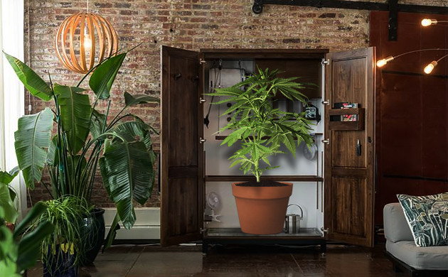 Гроубокс замаскированный в тумбочке