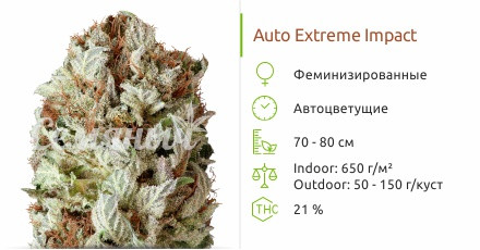 Extreme Impact auto от Heavyweight Seeds