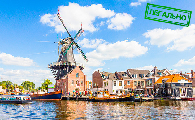 Статус марихуаны в Нидерландах