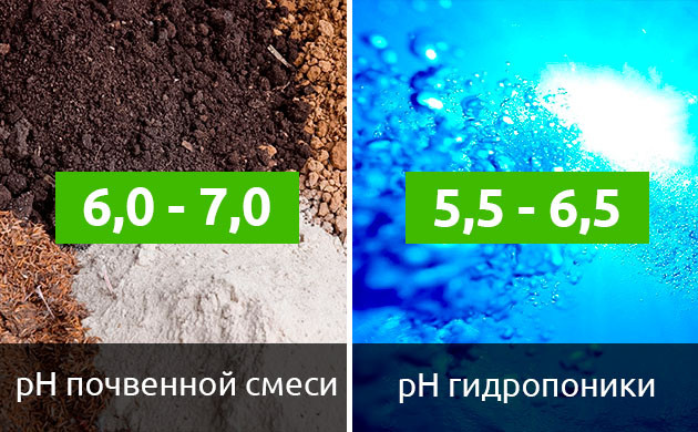 Автоцветущие сорта марихуаны и кислотно-щелочной баланс