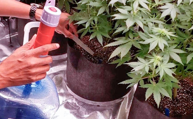 Насос для перекачки раствора