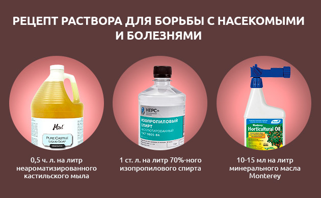 Опрыскивание для борьбы с вредителями Средства для борьбы с вредителями