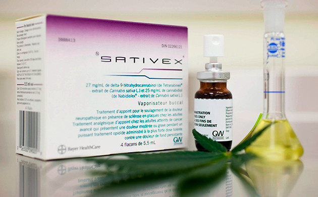 Чем полезен эффект антуража Для чего нужен эффект антуража конопли