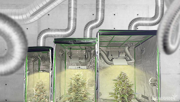 как организовать пространство для бридинга