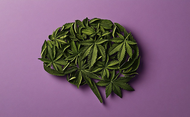 Конопля и счастье Терри Неско о марихуане