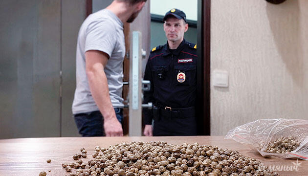 Правовой статус семян конопли Законно ли хранить семена конопли в России