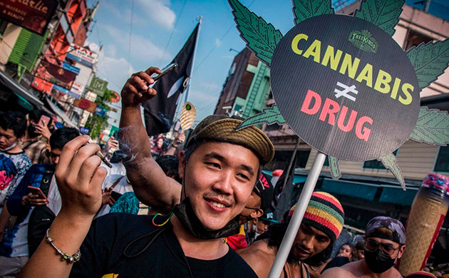 Новая политика в отношении каннабиса в Таиланде Ужесточение законов о марихуане в Таиланде