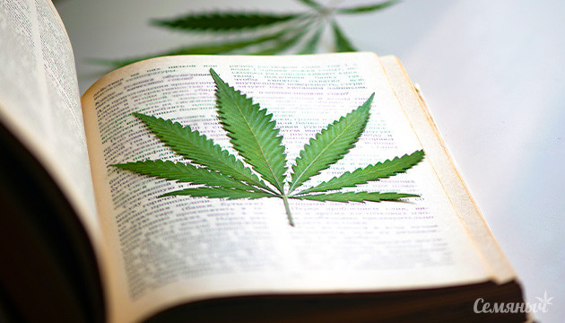 Роль конопли в разных религиях