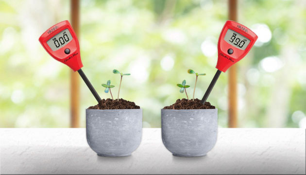 Несоблюдение уровня pH почвы Уровень pH