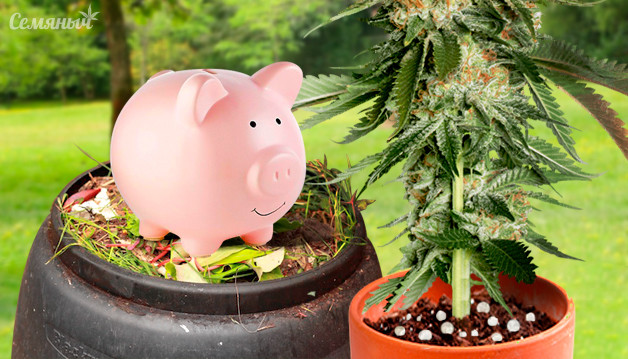 Недорогие удобрения для открытого грунта Минеральные и органические удобрения