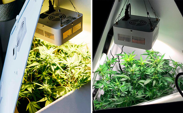 Как выглядит Leaflit