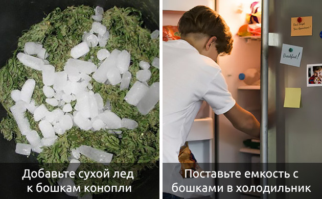 Сухой лед и сушка каннабиса