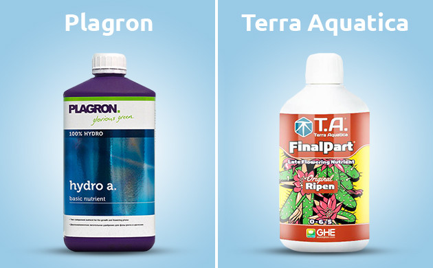 Комплексы удобрений для повышения урожая автоцветов Удобрения для увеличения урожая автоцветов