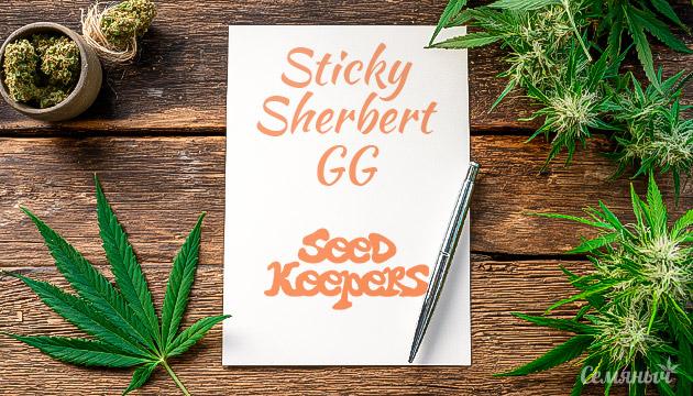 Гроурепорт сорта Sticky Sherbert GG от Seedkeepers