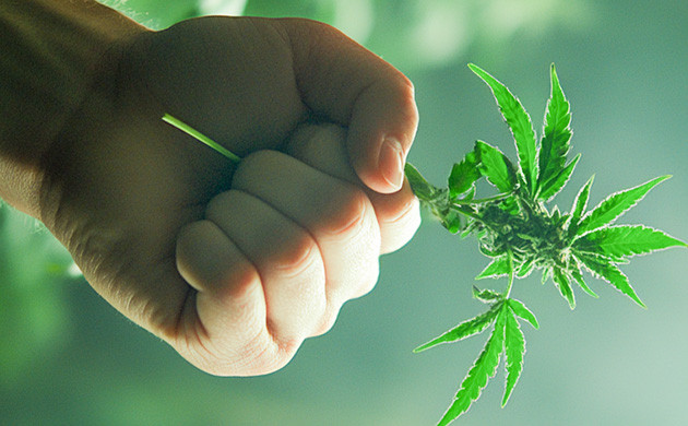 Равняйтесь на лучших гроверов