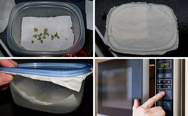 Сушка бошек конопли в микроволновке паром