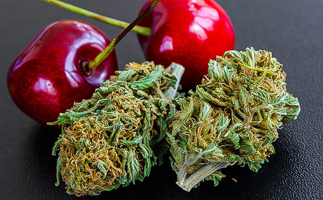 Вкусоароматические свойства и терпеновый профиль сорта