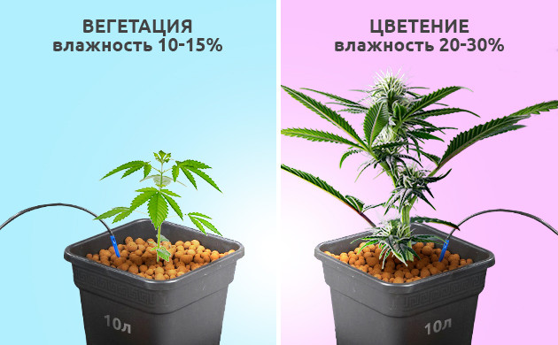 Управление влажностью почвы с автополивом Влажность субстрата для выращивания в системе автополива