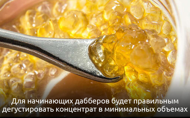 Определение количества стаффа при даббинге Концентрация ТГК в экстрактах