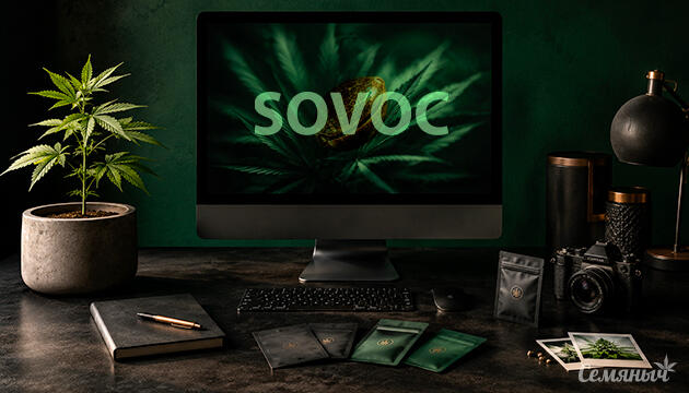 Магазин семян «Совок» Магазин семян конопли Sovoc