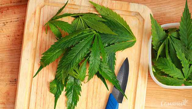 Как использовать остатки марихуаны