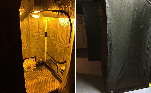 собираем зоны выращивания