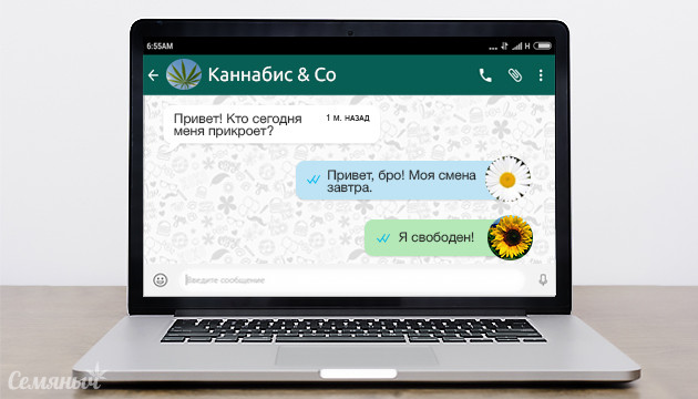 Компаньоны для конопли