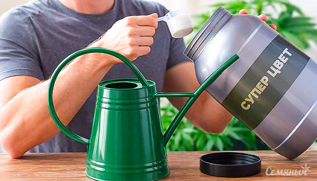 Каннабис и современные стимуляторы цветения Эволюция выращивания каннабиса и новые подходы