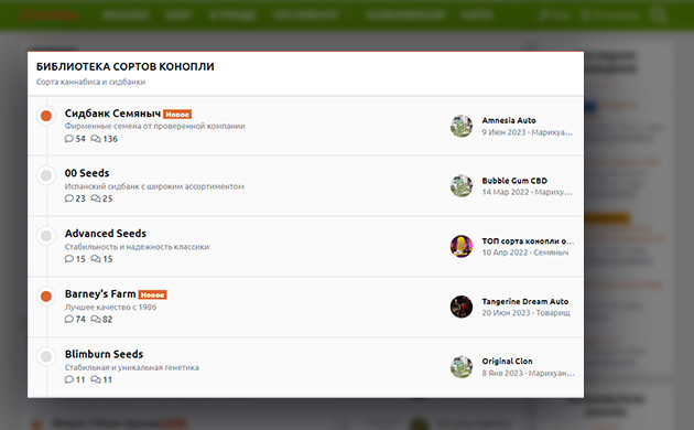 Раздел форума семяныча – Библиотека сортов конопли