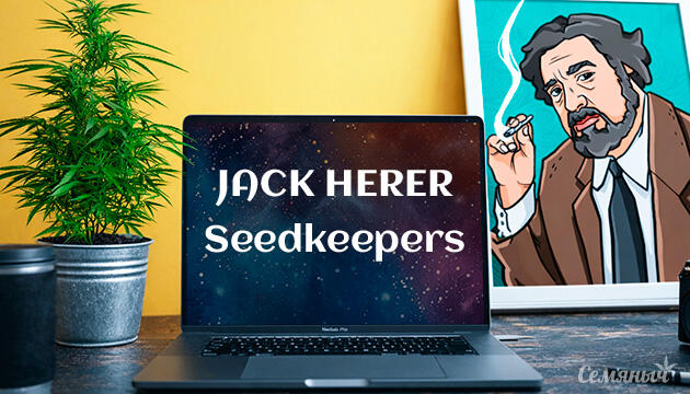 Гроурепорт сорта Jack Herer от Seedkeepers