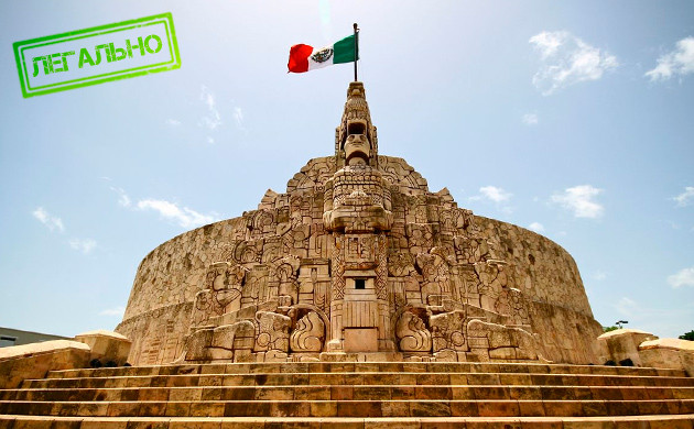 Статус каннабиса в Мексике