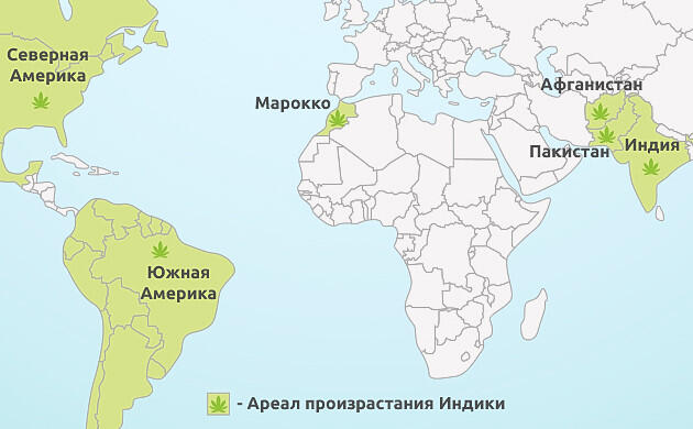 Места распространения конопли Индики История индики