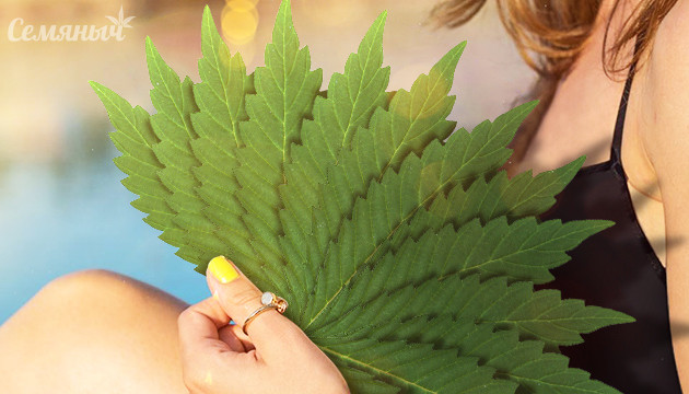 Веер из листьев конопли