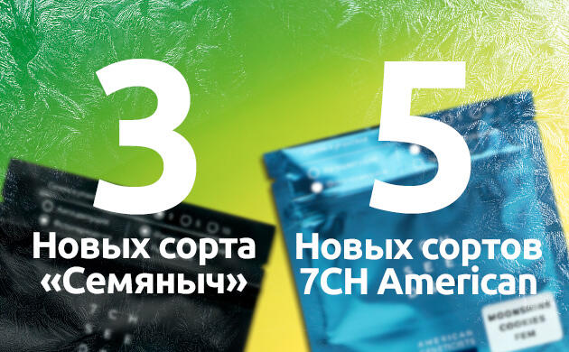 8 сортов от сидбанков «Семяныча»