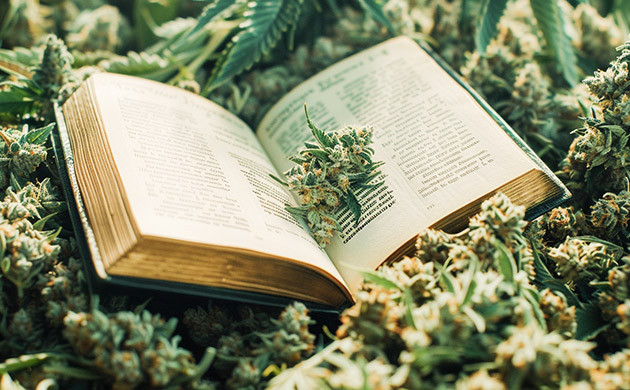 Терпены и флавоноиды в классификации каннабиса