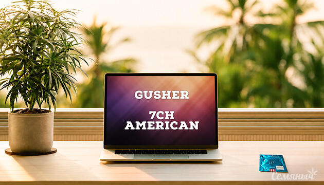 Гроурепорт сорта Gusher от 7CH American