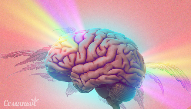 Воздействие марихуаны на мозг