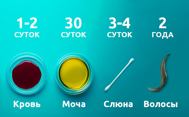 Время выводы ТГК из организма