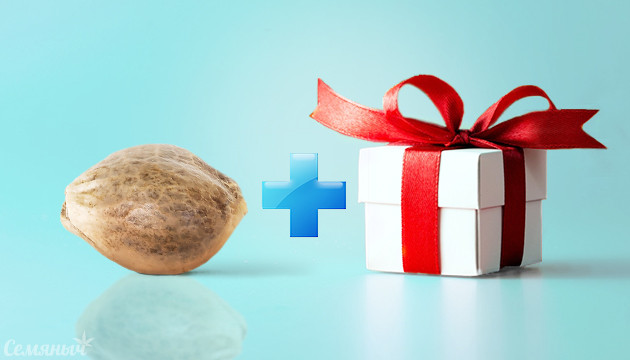 Подарки от Семяныча