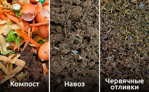 Создание идеальной почвосмеси для выращивания автоцветов Почвенные добавки для автоцветущих сортов канабиса