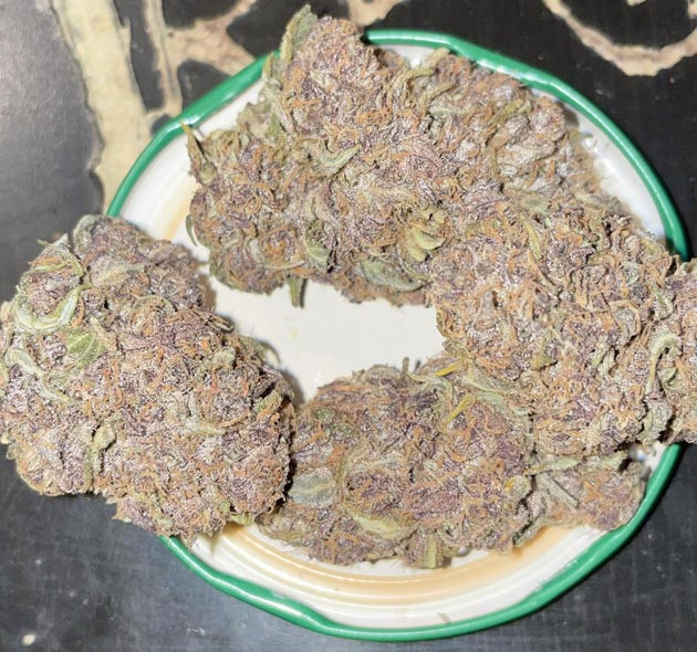 Сбор урожая Runtz Auto