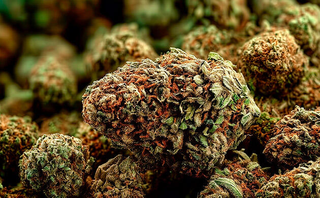 Альтернативы зиплок-пакетам