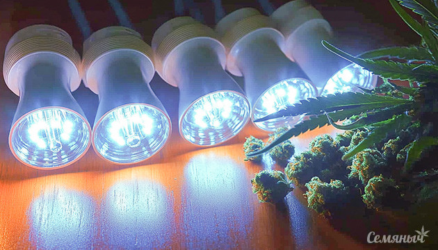 Современные LED-светильники для гроубоксов Эволюция освещения: от биколора к полному спектру