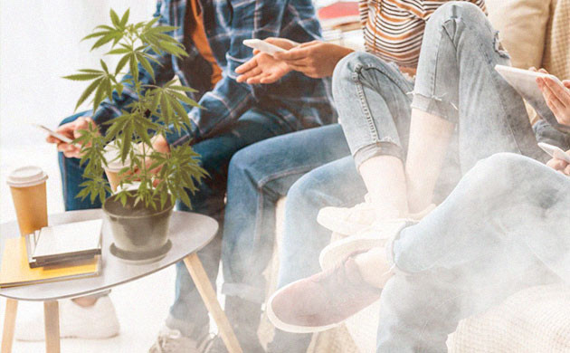 Конопля и социум Каннабис для взаимодействия с окружающими