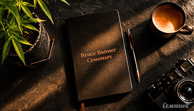 Гроурепорт сорта Bruce Banner от сидбанка Семяныч