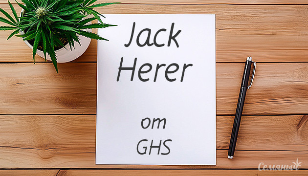 Выращивание марихуаны Jack Herer