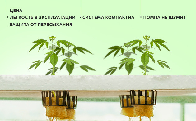 Плюсы использования самодельной гидропоники Преимущества самодельной гидропонной установки