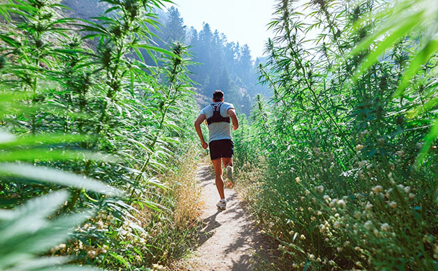 Влияние тренировок на детоксикацию от каннабиса Физическая активность и выведение ТГК