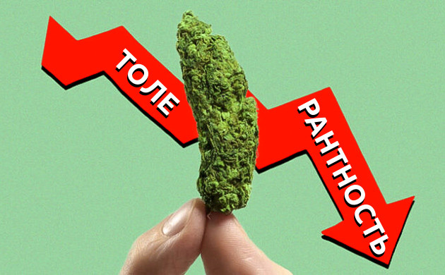 Толер-брейк: переоценка взаимоотношений с марихуаной