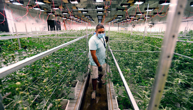 Создание гроурума Выращивание в гроуруме